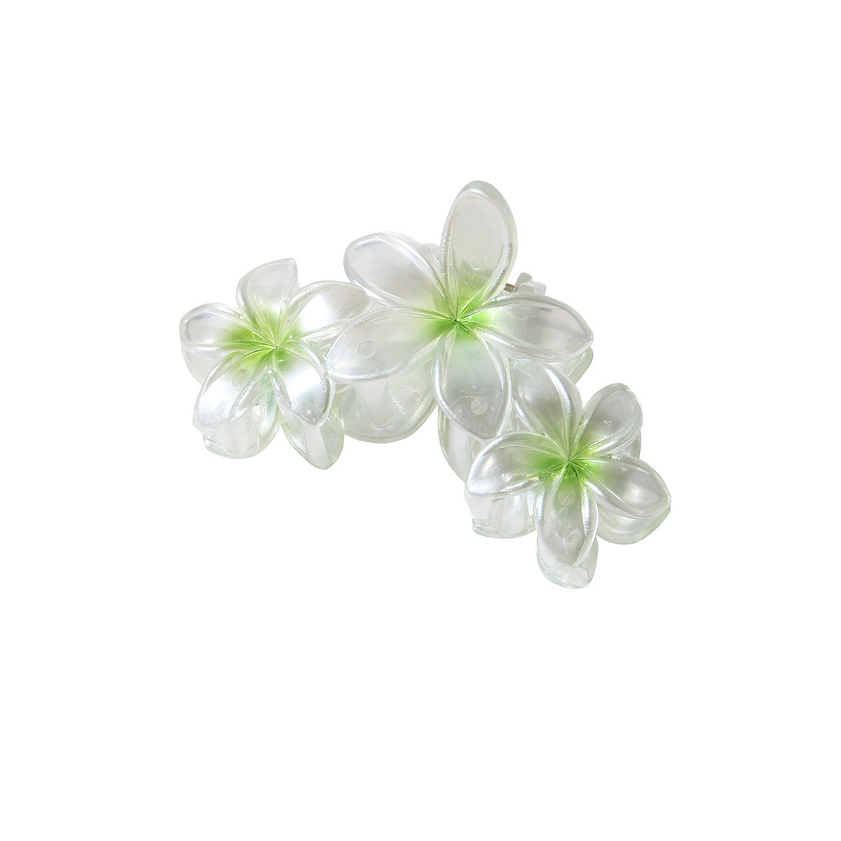 Pearlescent Plumeria Rubra Barrettes Updo