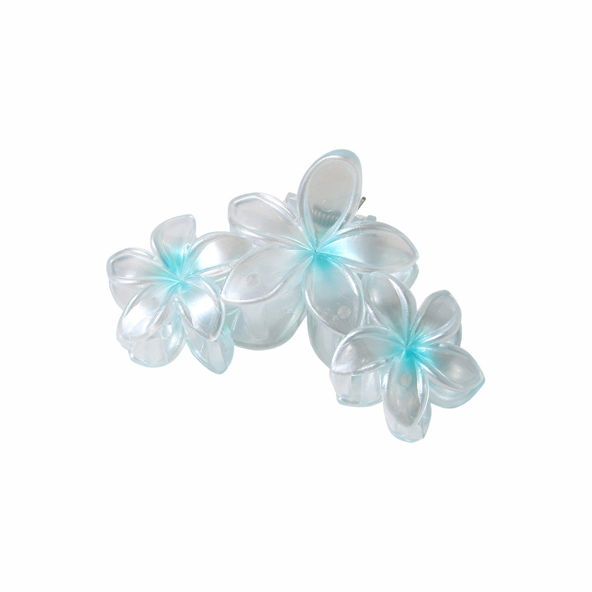 Pearlescent Plumeria Rubra Barrettes Updo