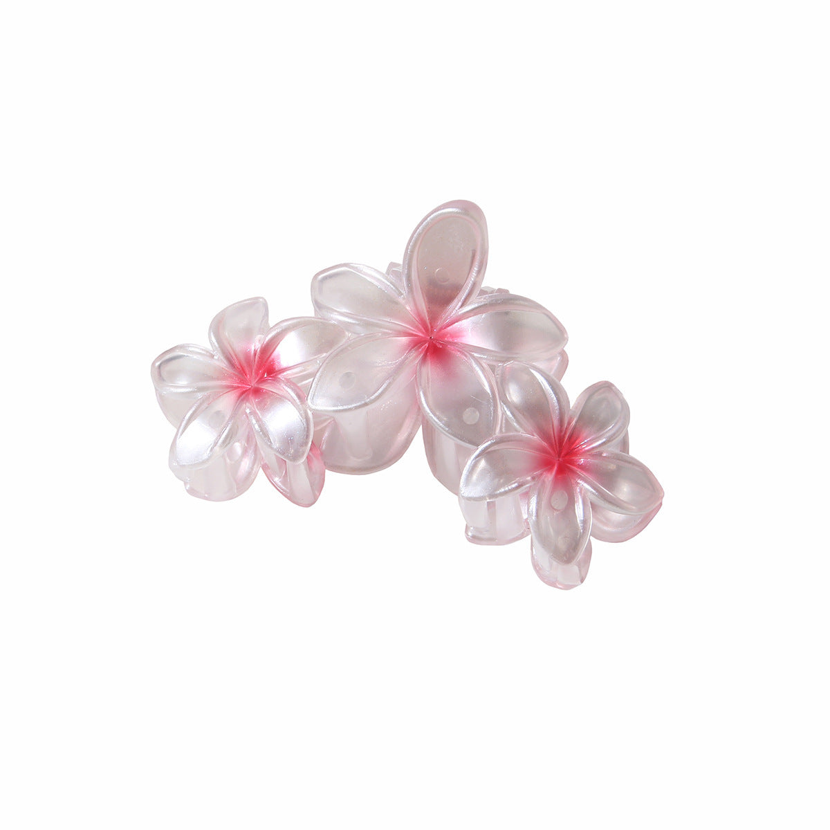 Pearlescent Plumeria Rubra Barrettes Updo