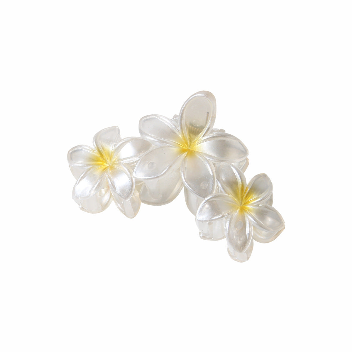 Pearlescent Plumeria Rubra Barrettes Updo