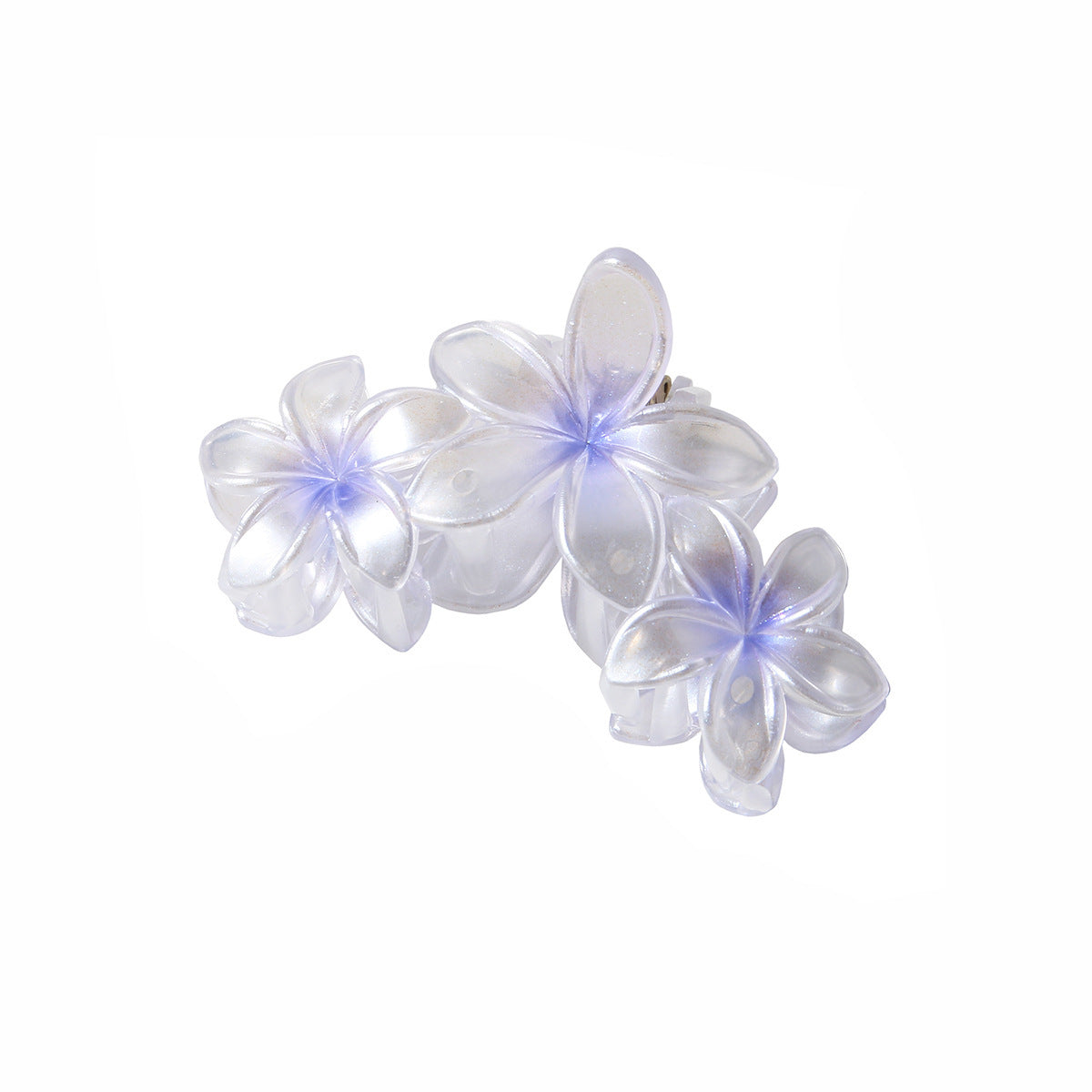 Pearlescent Plumeria Rubra Barrettes Updo